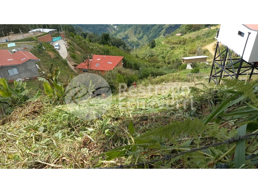 Lote en venta, vereda Boston, Manizales — foto 2