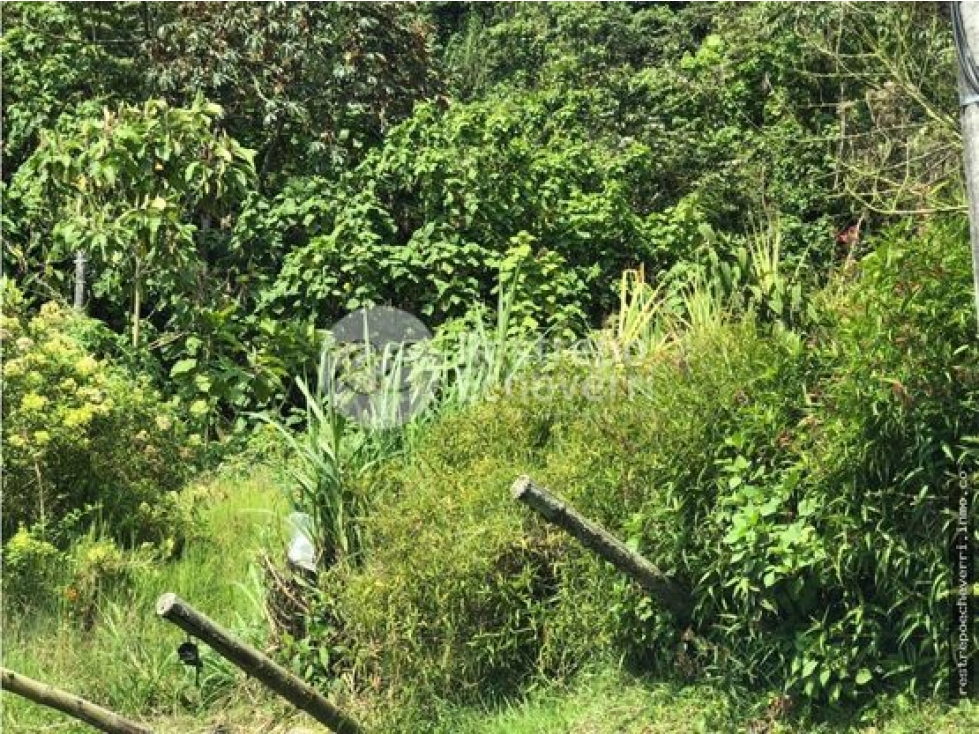 Lote en arriendo, Estación Uribe, Manizales — foto 3