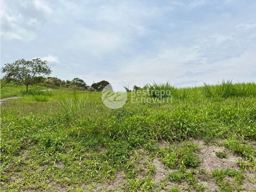 Lote en conjunto en venta, El Rosario, Manizales — foto 5