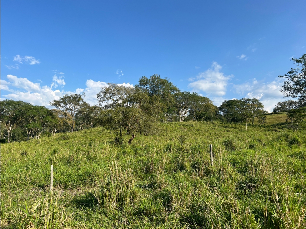 Lote en venta, Pacífico 3, La Botija, Neira - 5