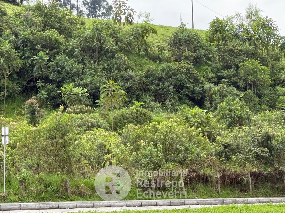 Lote en venta, Maltería, Manizales — foto 3
