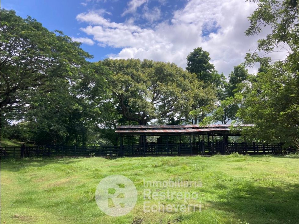 Finca en venta, La Dorada, Caldas. - 1