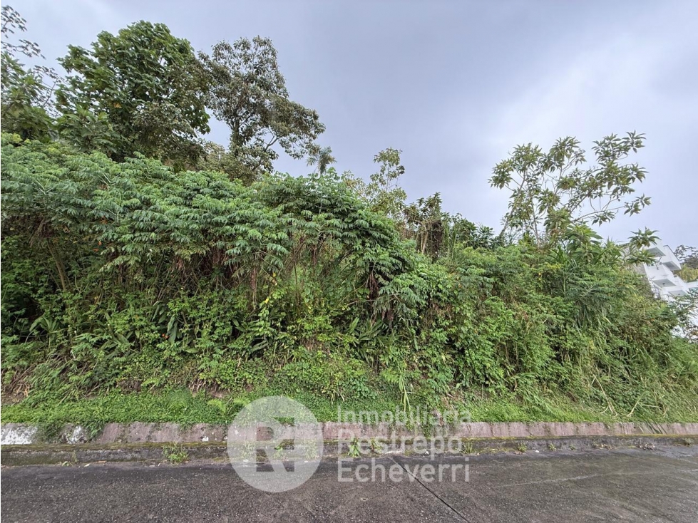 Lote en venta, La Francia, Manizales — foto 5