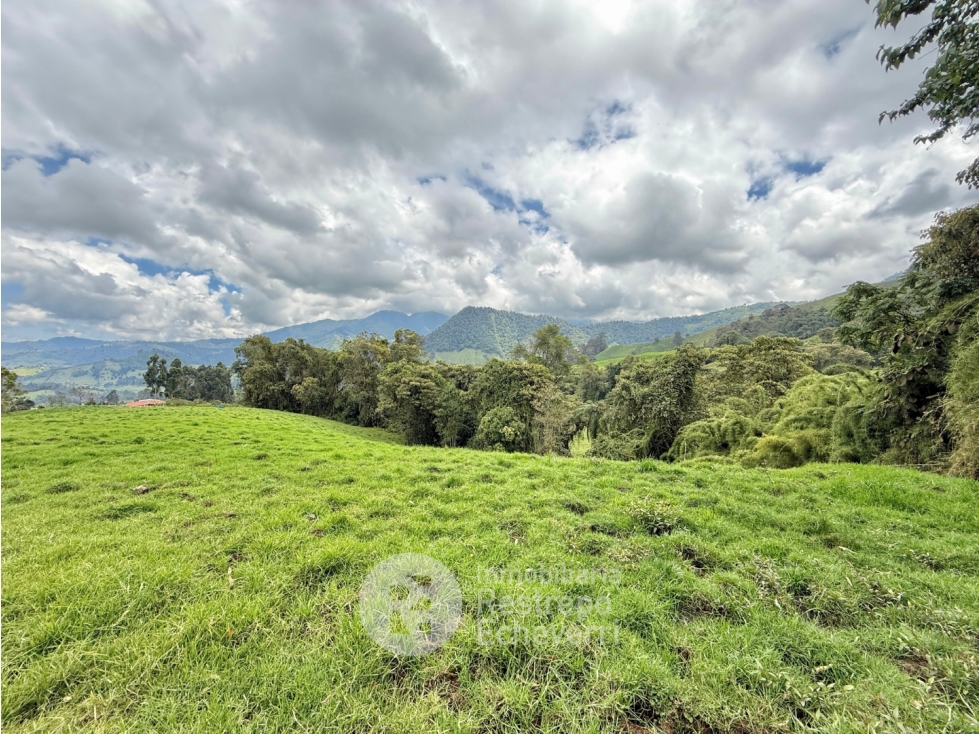 Lote en venta, Gallinazo, Manizales — foto 5