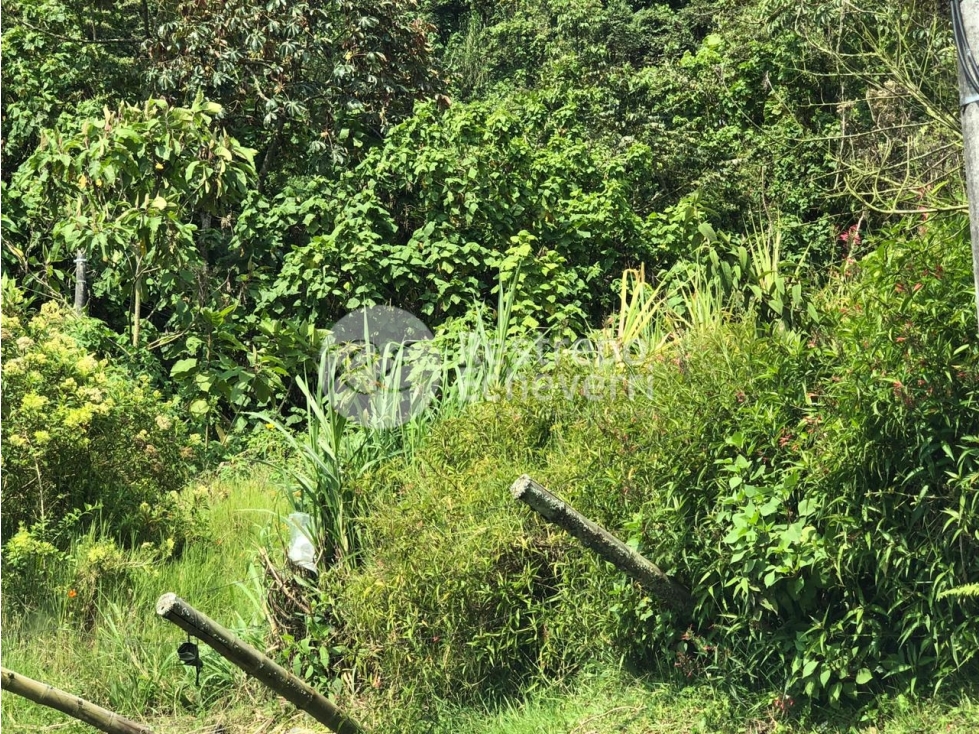 Lote en venta, Estación Uribe, Manizales — foto 3