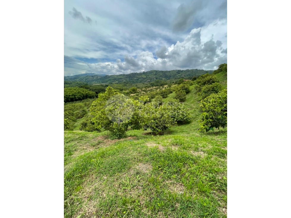 Finca en venta, Lisboa, Neira - 2