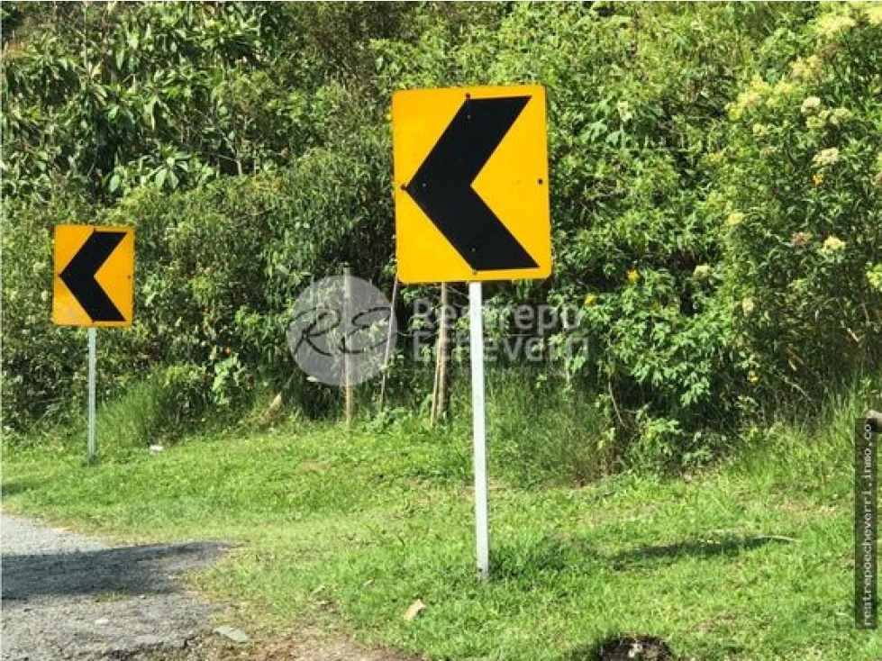 Lote en arriendo, Estación Uribe, Manizales — foto 4