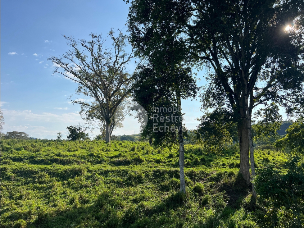 Lote en venta, Pacífico 3, La Botija, Neira - 6