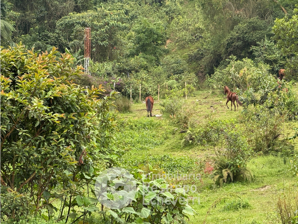 Lote en venta, barrio Bosques del Norte, Manizales — foto 5