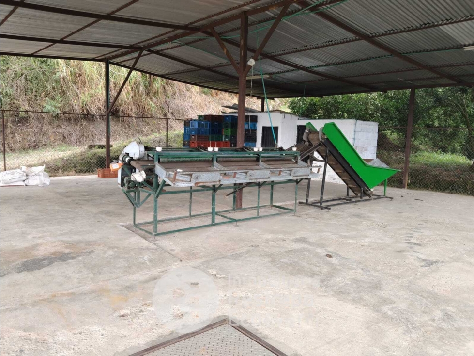 Finca en venta, Neira, Caldas - 4