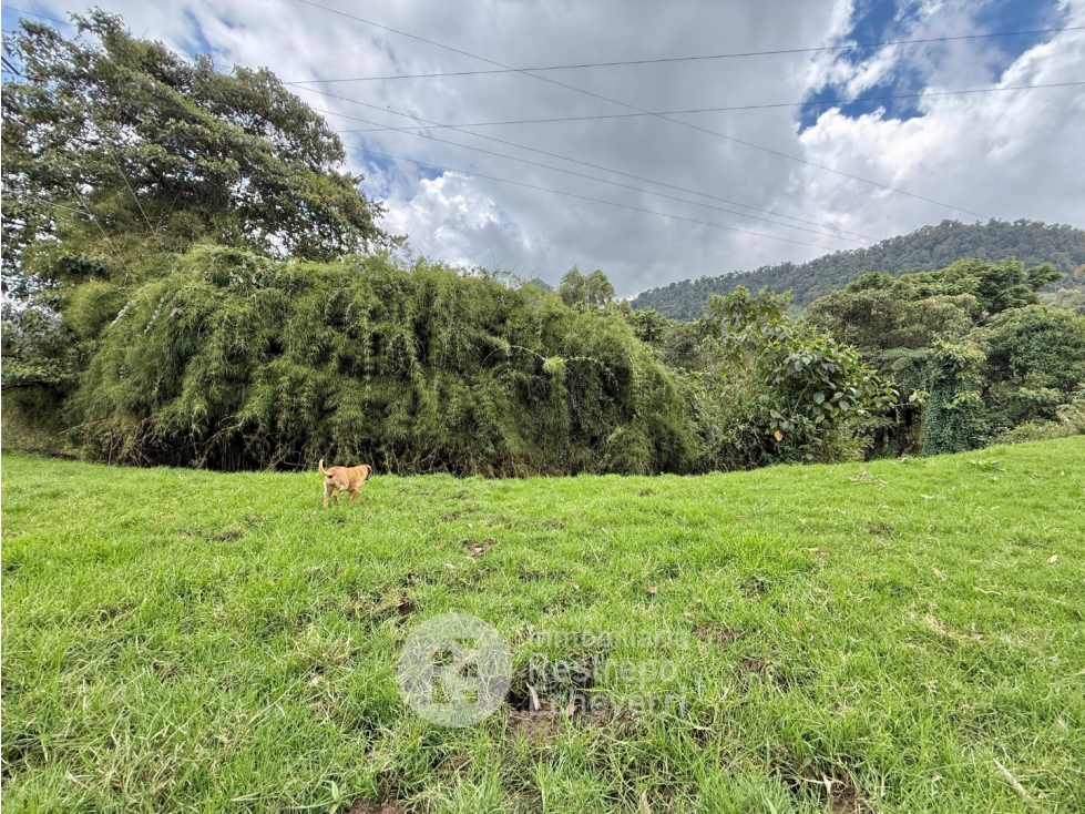 Lote en venta, Gallinazo, Manizales — foto 6