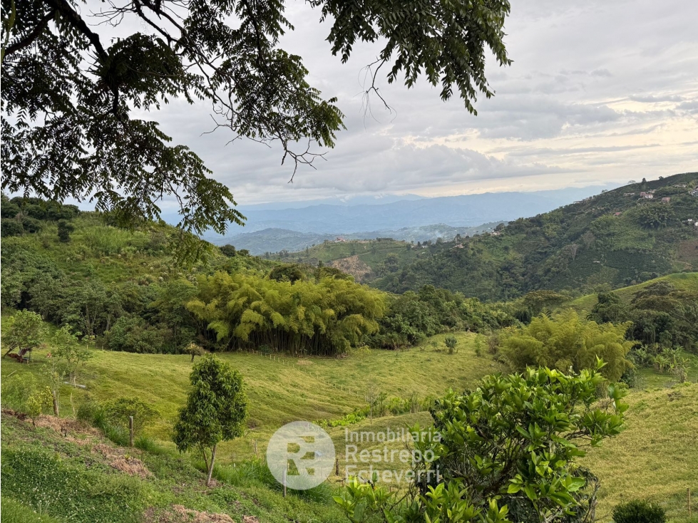 Hotel en arriendo, El Arenillo, Manizales - 6