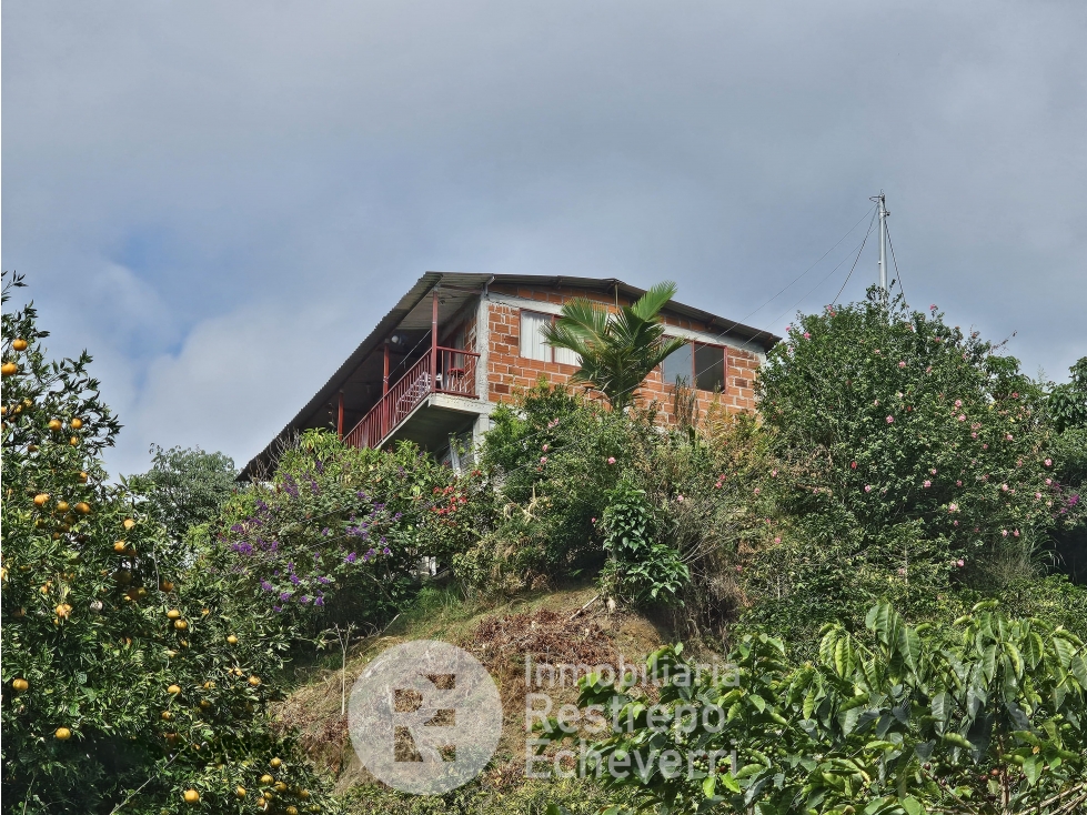 Finca en venta, Alto Tablazo, Manizales — foto 5
