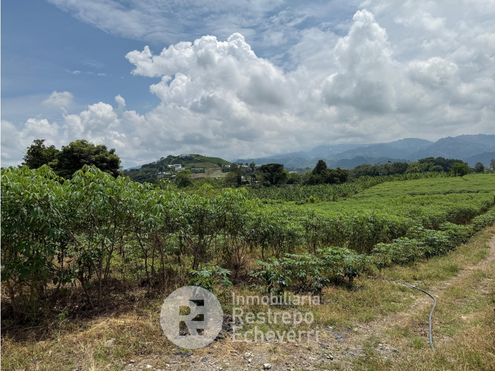 Lote en venta, sector El Rosario, Manizales — foto 3