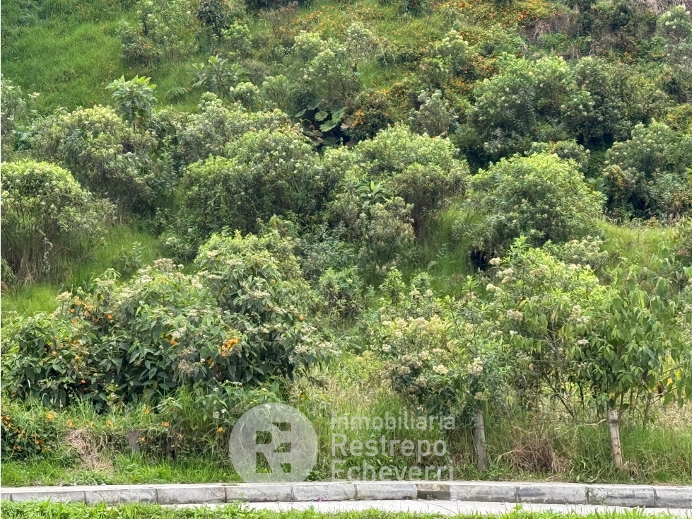 Lote en venta, Maltería, Manizales — foto 4