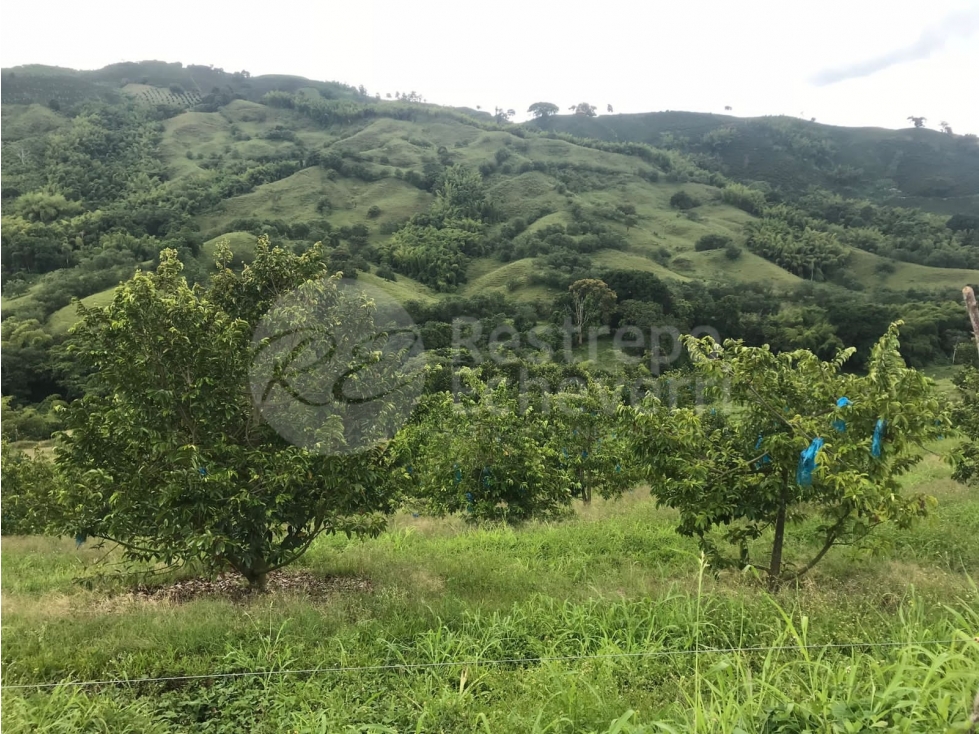 Finca en venta, Lisboa, Neira - 3