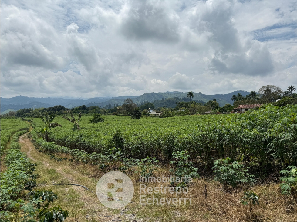 Lote en venta, sector El Rosario, Manizales — foto 2