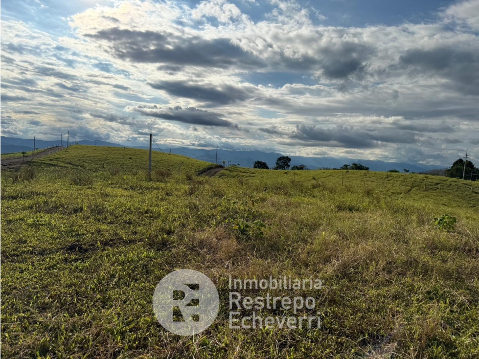 Lote en venta, La Cabaña, Manizales — foto 4