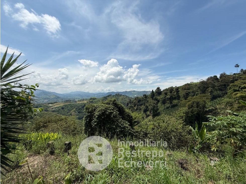 Lote en venta, San Peregrino, Manizales — foto 2
