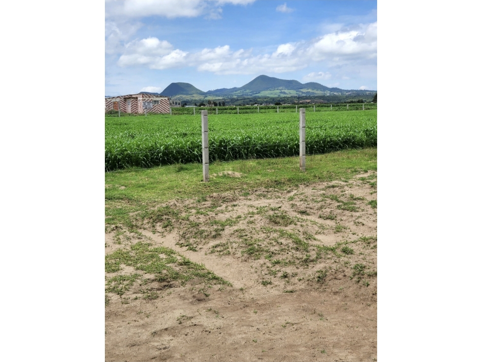 VENTA DE TERRENO EN CHALCO USO INDUSTRIAL, ESTADO DE MÉXICO - 2