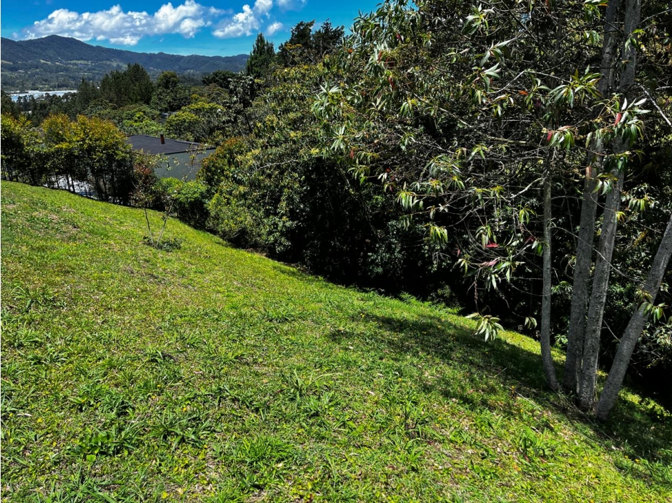 VENTA DE LOTE HERMOSO EN LA CEJA - SECTOR EL GUAMITO — foto 2