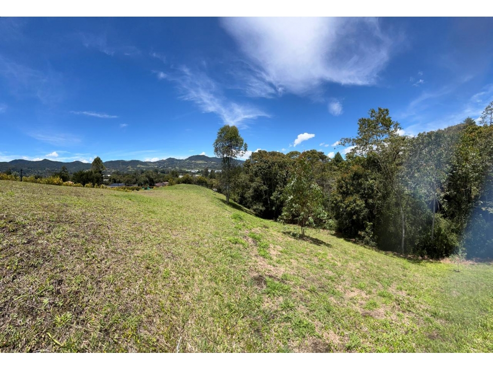 VENTA DE LOTE HERMOSO EN LA CEJA - SECTOR EL GUAMITO — foto 5