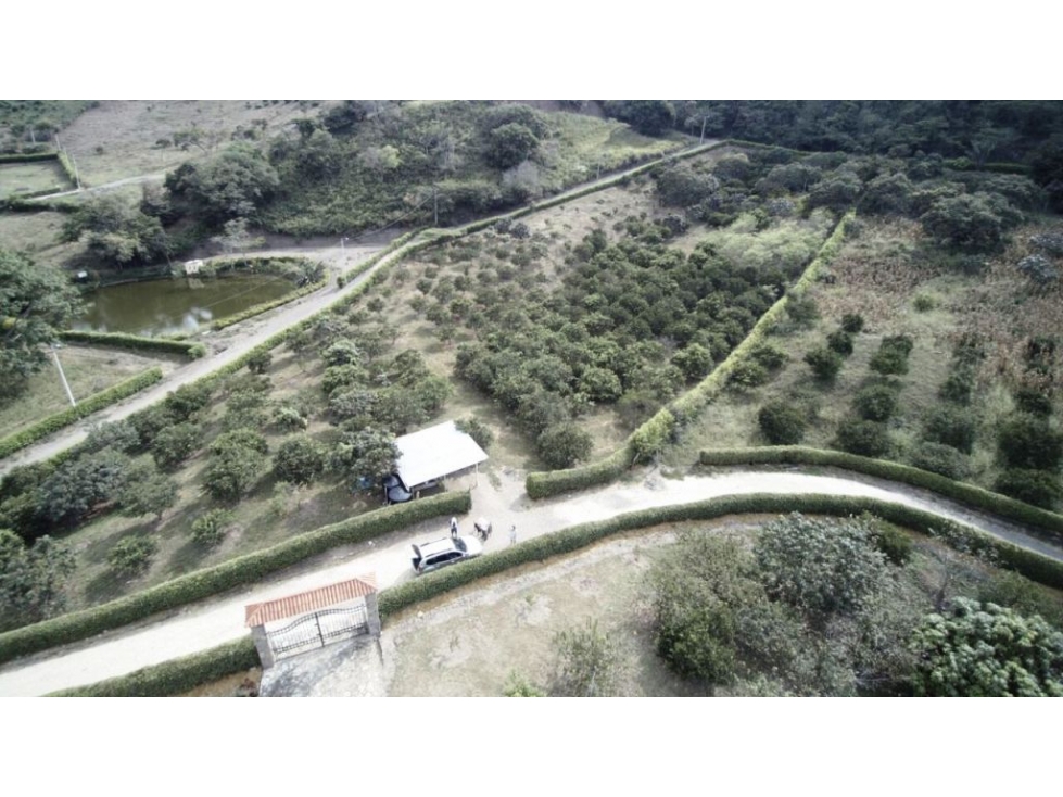 VENDO LOTE EN ANAPOIMA CONDOMINIO AZAFRÁN II P.H. - 1