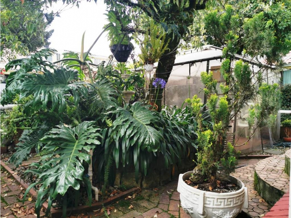 VENDO FABULOSA CASA TIPO CAMPESTRE EN LA FLORESTA - BOGOTÁ — foto 3