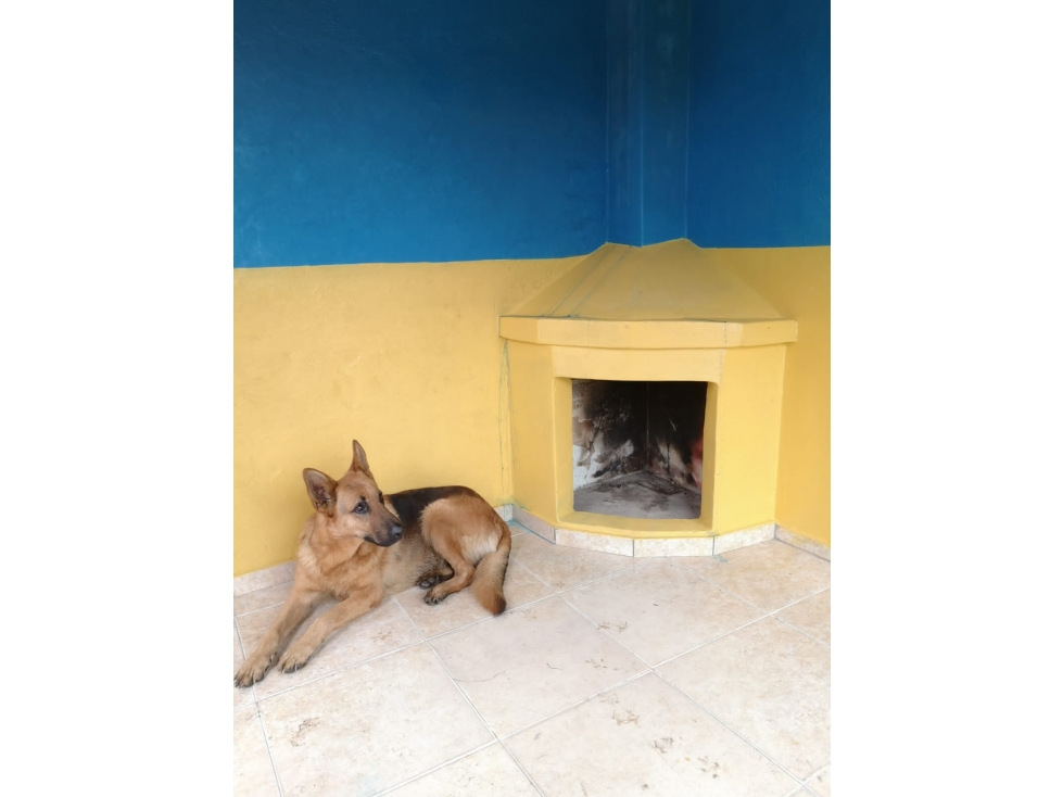 VENDO O ARRIENDO RESTAURANTE CAMPESTRE/GRANJA TEMÁTICA EN USME - 2
