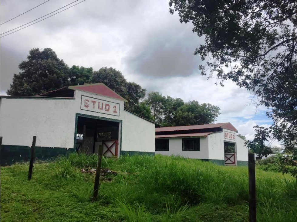 VENDO LOTE EN TOCAIMA - 6