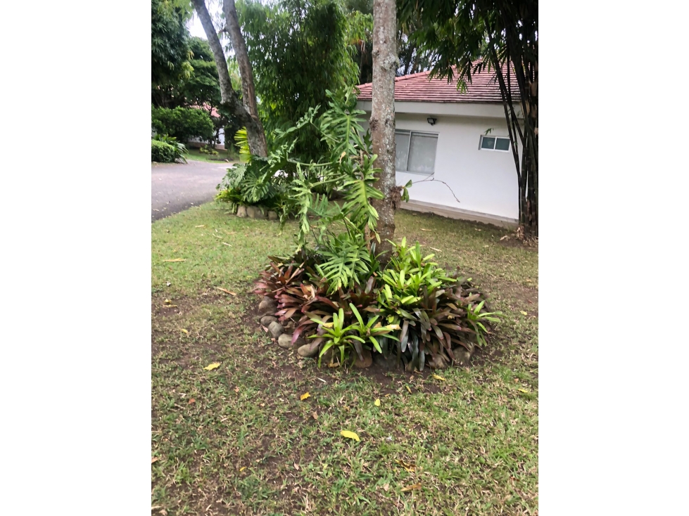 VENTA O ARRIENDO CASA EN PANCE — foto 3