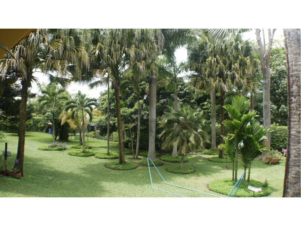INIGUALABLE LOTE PARA DESARROLLO COMERCIAL O RESIDENCIAL CIUDAD JARDIN - 6