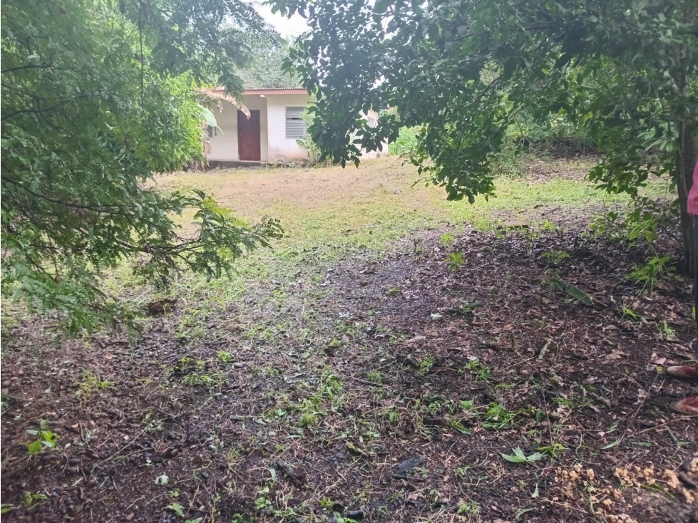 Terreno dividido en 2 Fincas Urb de Tres Quebradas, Los Santos - 2