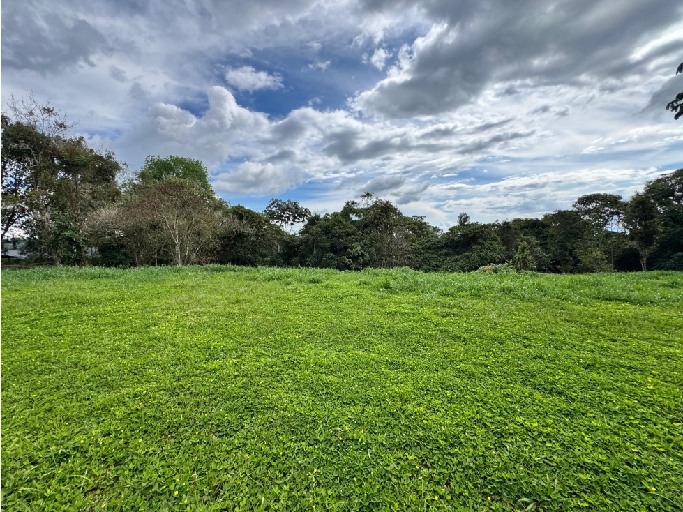 LOTE EN VENTA EN CONDOMINIO CAMPESTRE VÍA FILANDIA, QUINDÍO. - 4