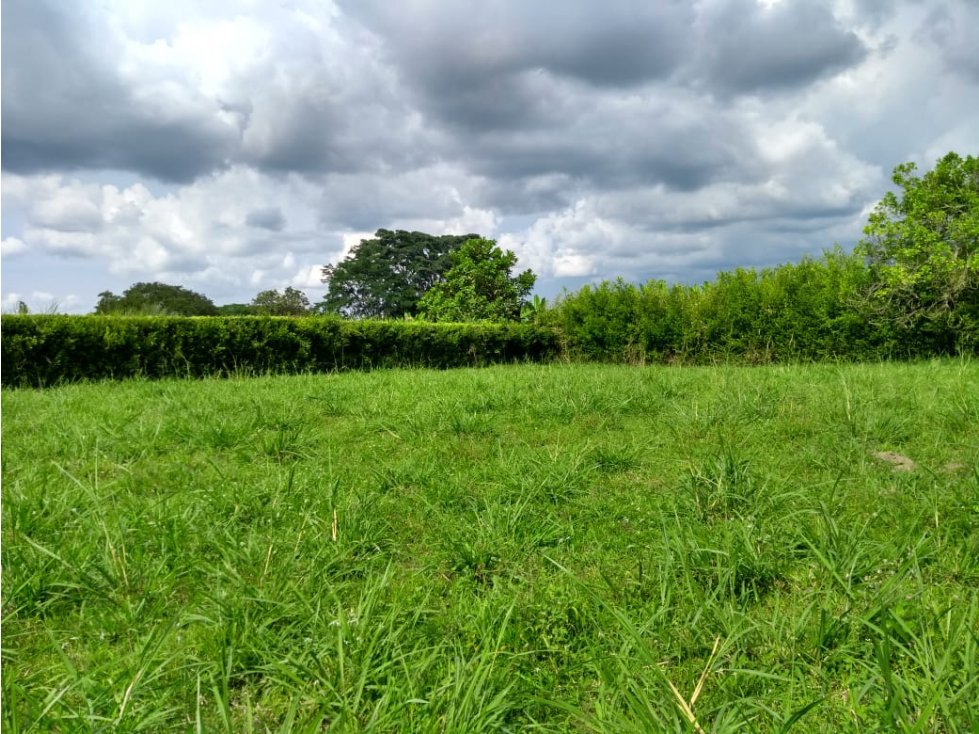 LOTE EN VENTA EN LA TEBAIDA QUINDÍO - 1