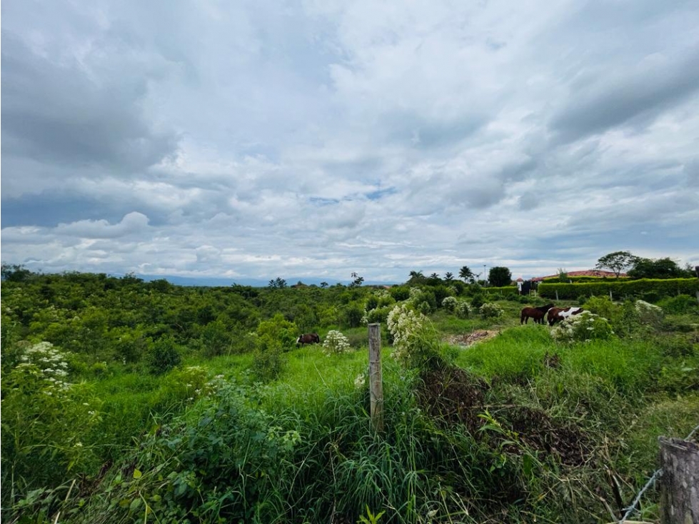 LOTE EN CONDOMINIO CON PERMISO DE USO TURÍSTICO - MONTENEGRO QUINDÍO - 1