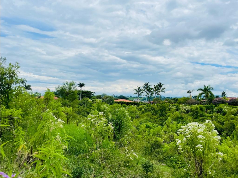 LOTE EN CONDOMINIO CON PERMISO DE USO TURÍSTICO - MONTENEGRO QUINDÍO