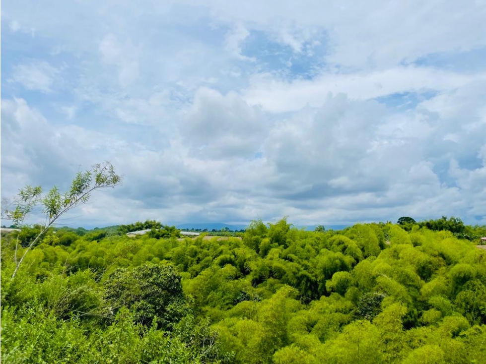 LOTE EN CONDOMINIO CON PERMISO DE USO TURÍSTICO - MONTENEGRO QUINDÍO - 1