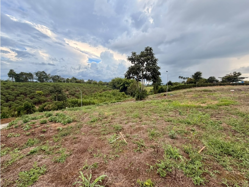 LOTE CAMPESTRE EN VENTA CONDOMINIO CERRADO PUEBLO TAPAO, QUINDÍO