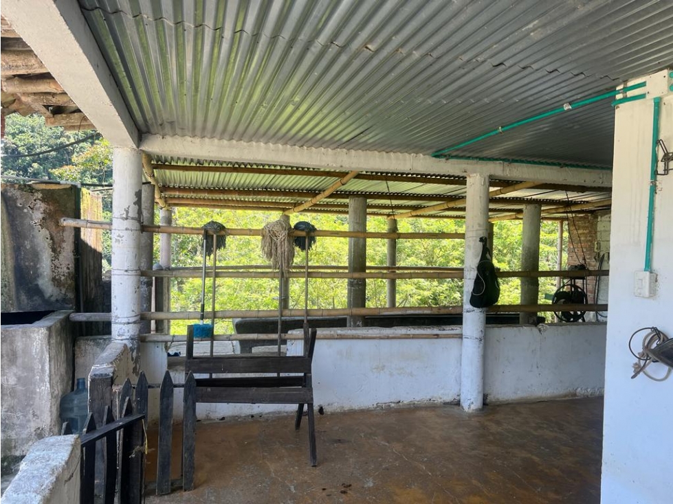 FINCA EN VENTA EN EL MUNICIPIO DE LA VICTORIA VEREDA MIRAVALLES - 6