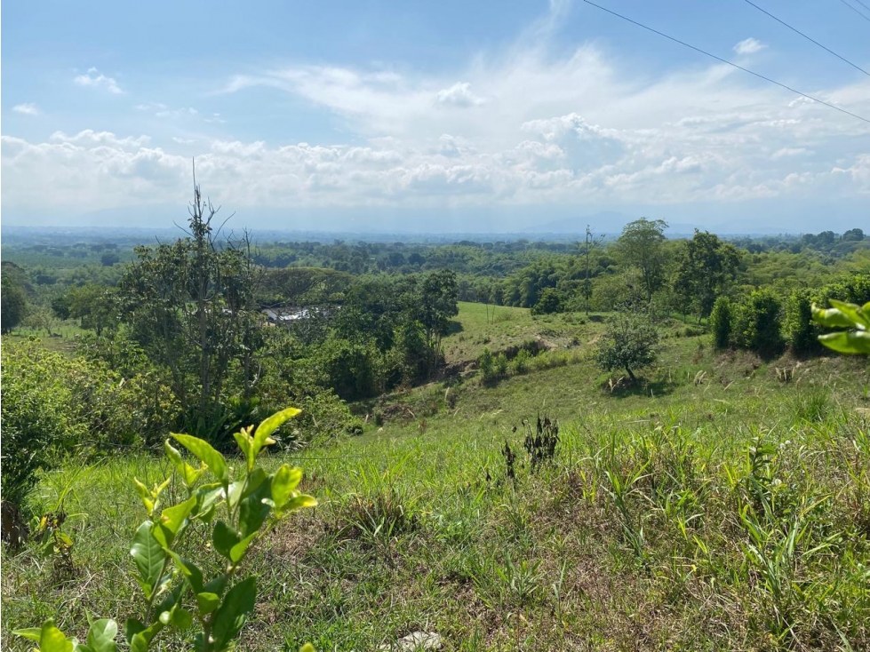 PROYECTO DE LOTES EN VENTA UBICADO EN PUEBLO TAPAO - MONTENEGRO Q - 3