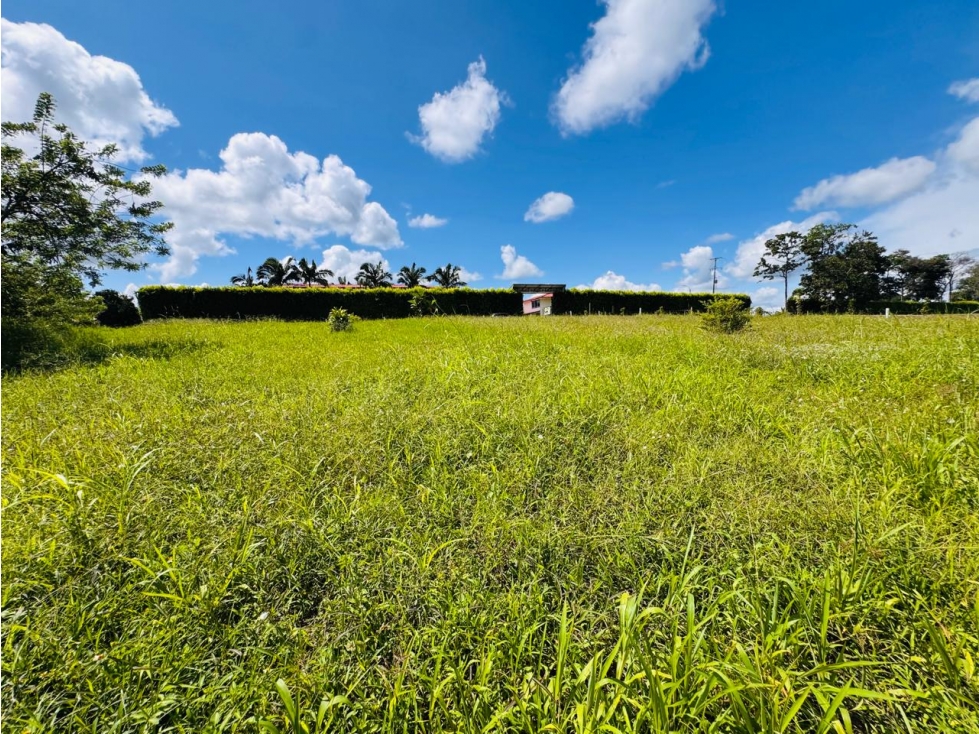 PROYECTO DE PARCELACIÓN EN VENTA PRECIO DE OPORTUNIDAD PUEBLO TAPAO — foto 5