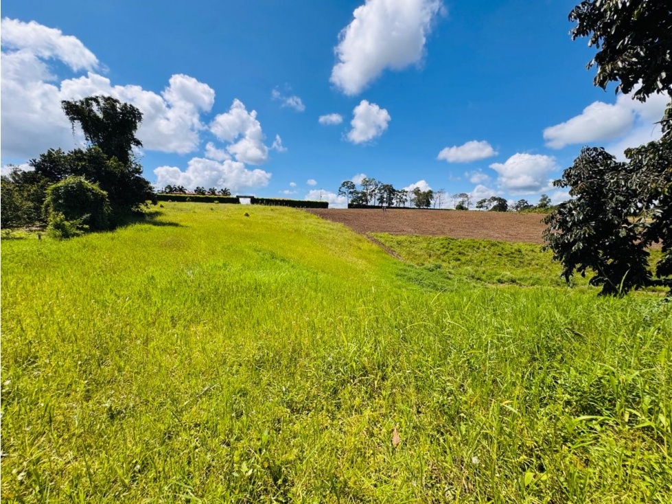 PROYECTO DE PARCELACIÓN EN VENTA PRECIO DE OPORTUNIDAD PUEBLO TAPAO — foto 6