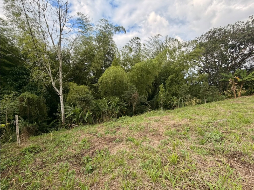 PRECIO DE OPORTUNIDAD LOTE CAMPESTRE 6 EN VENTA PUEBLO TAPAO Q