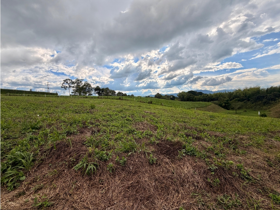 PRECIO DE OPORTUNIDAD LOTE CAMPESTRE 3 EN VENTA PUEBLO TAPAO Q — foto 2