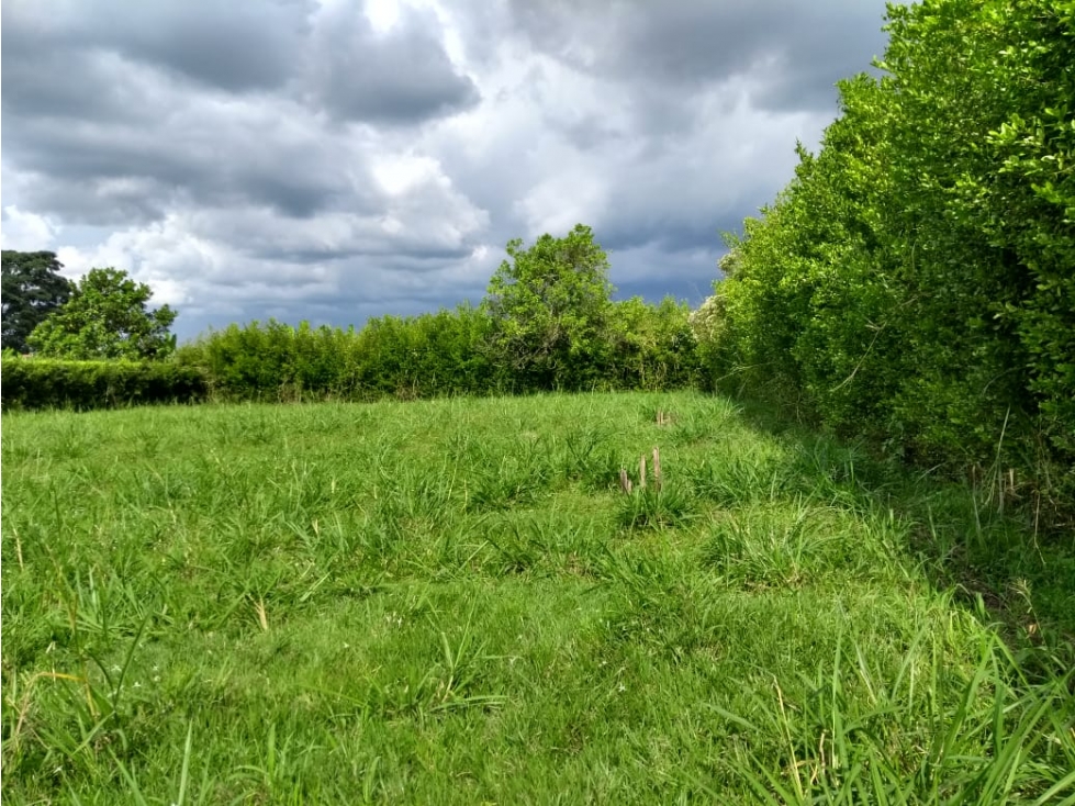 LOTE EN VENTA EN LA TEBAIDA QUINDÍO - 2