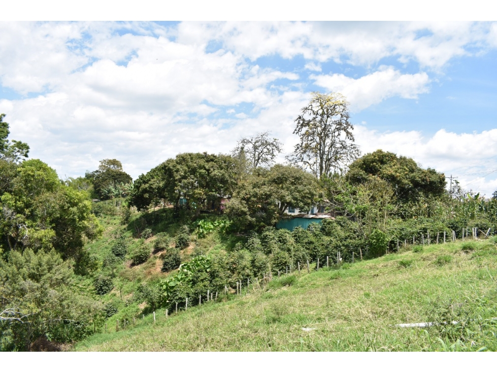 LOTE URBANO EN VENTA UBICADO EN QUIMBAYA SALIENDO A MONTENEGRO - 5