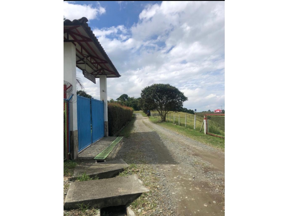 LOTE DE ALTO POTENCIAL EN VENTA VÍA ARMENIA PEREIRA — foto 5