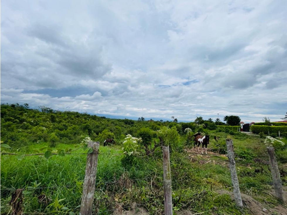 LOTE EN CONDOMINIO CON PERMISO DE USO TURÍSTICO - MONTENEGRO QUINDÍO - 2