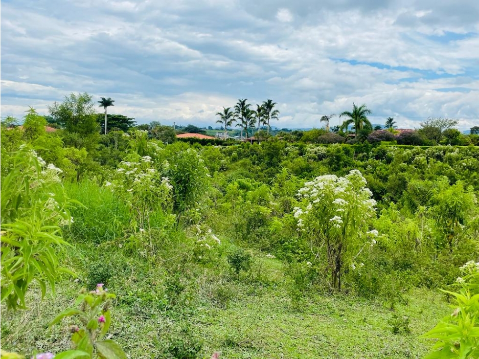 LOTE EN CONDOMINIO CON PERMISO DE USO TURÍSTICO - MONTENEGRO QUINDÍO — foto 2
